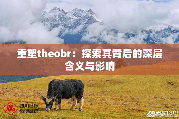 重塑theobr：探索其背后的深层含义与影响