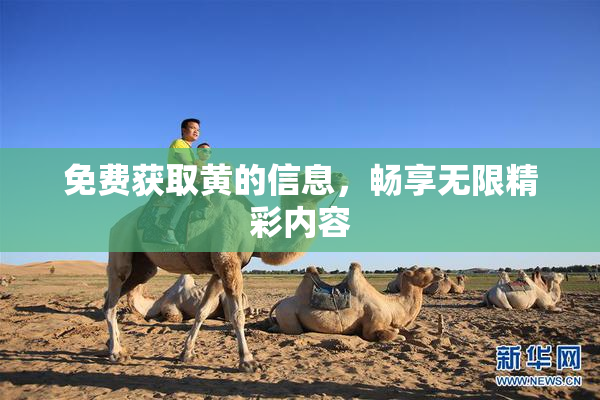 免费获取黄的信息，畅享无限精彩内容