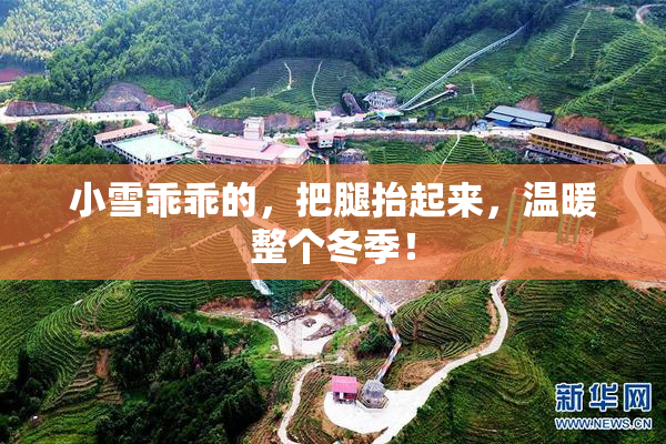 小雪乖乖的，把腿抬起来，温暖整个冬季！