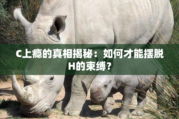 C上瘾的真相揭秘：如何才能摆脱H的束缚？