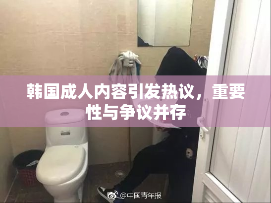 韩国成人内容引发热议，重要性与争议并存
