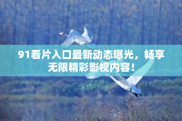 91看片入口最新动态曝光，畅享无限精彩影视内容！