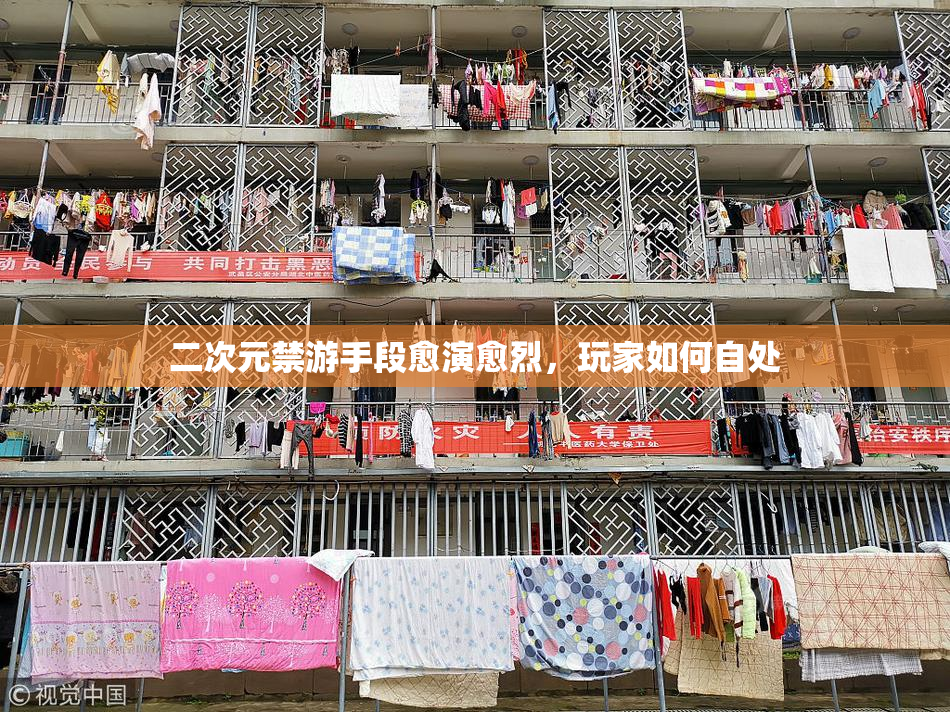 二次元禁游手段愈演愈烈，玩家如何自处