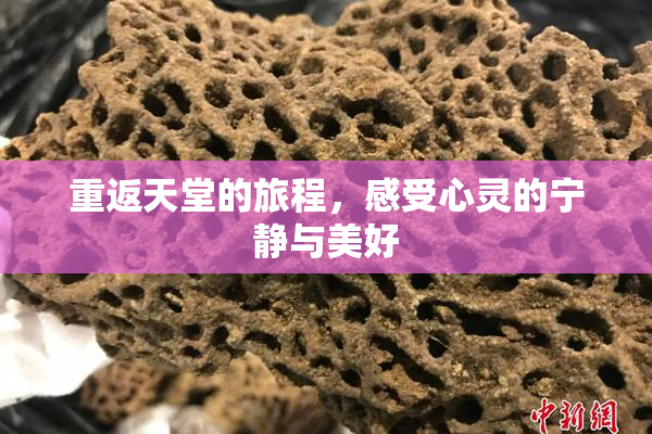 重返天堂的旅程，感受心灵的宁静与美好
