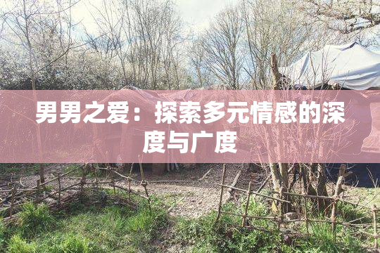 男男之爱：探索多元情感的深度与广度