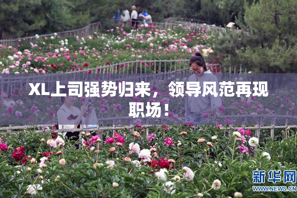XL上司强势归来，领导风范再现职场！