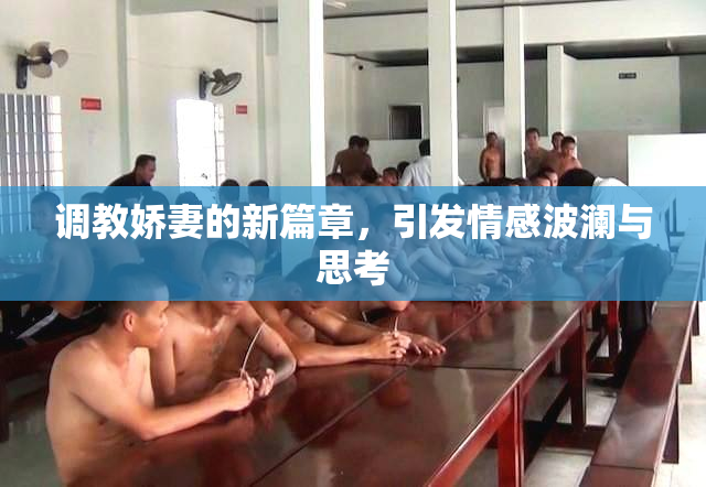 调教娇妻的新篇章，引发情感波澜与思考