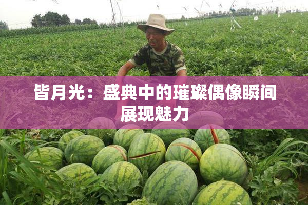 皆月光：盛典中的璀璨偶像瞬间展现魅力