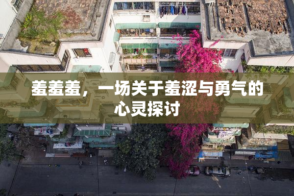 羞羞羞，一场关于羞涩与勇气的心灵探讨