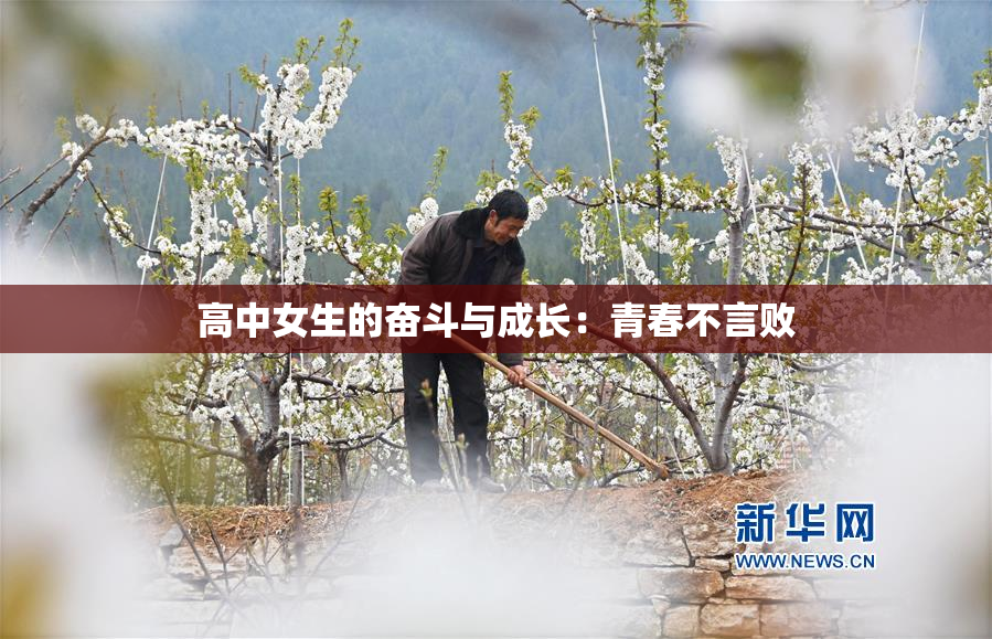 高中女生的奋斗与成长：青春不言败