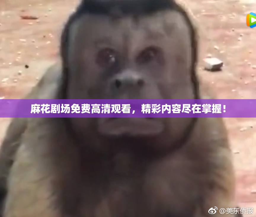 麻花剧场免费高清观看，精彩内容尽在掌握！