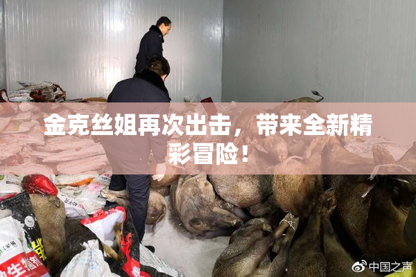 金克丝姐再次出击，带来全新精彩冒险！