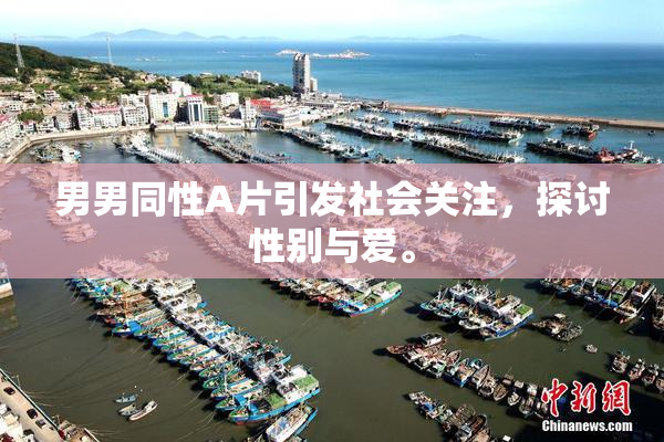男男同性A片引发社会关注，探讨性别与爱。