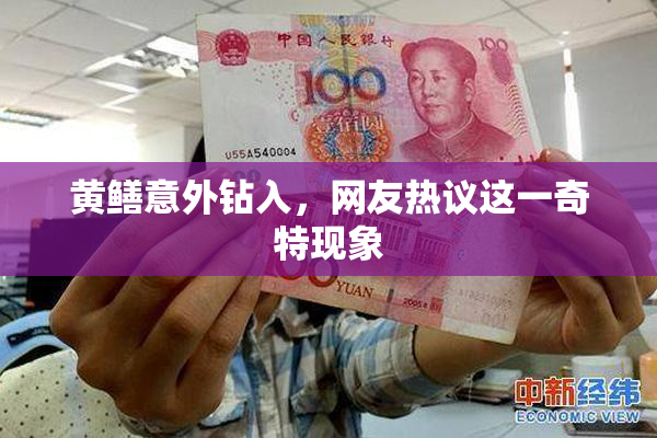 黄鳝意外钻入，网友热议这一奇特现象