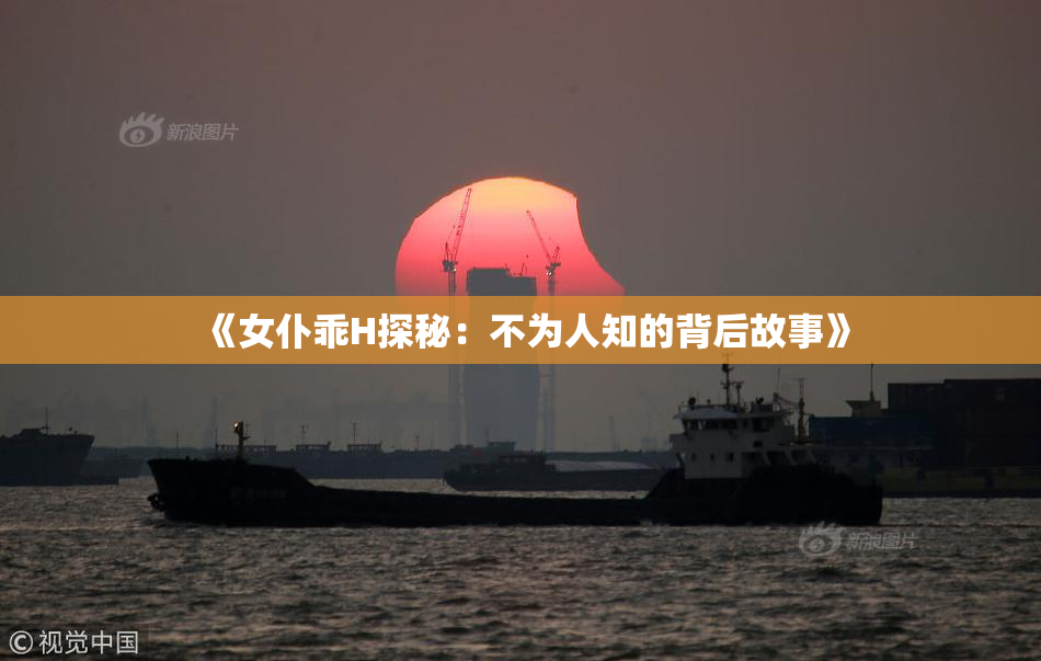《女仆乖H探秘：不为人知的背后故事》