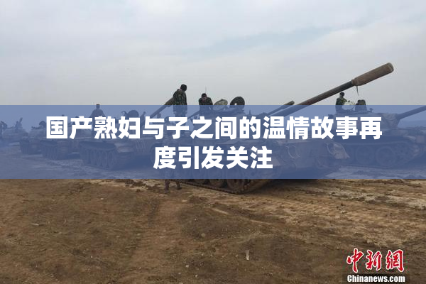 国产熟妇与子之间的温情故事再度引发关注