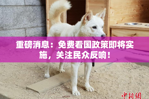 重磅消息：免费看国政策即将实施，关注民众反响！