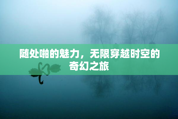 随处啪的魅力，无限穿越时空的奇幻之旅
