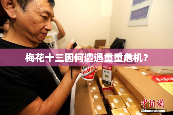 梅花十三因何遭遇重重危机？