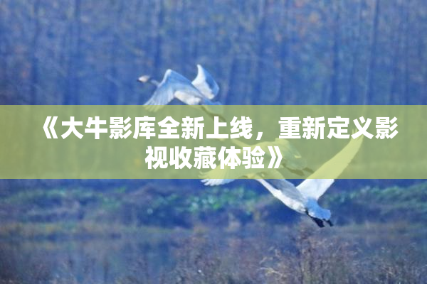 《大牛影库全新上线，重新定义影视收藏体验》