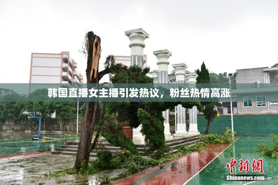 韩国直播女主播引发热议，粉丝热情高涨