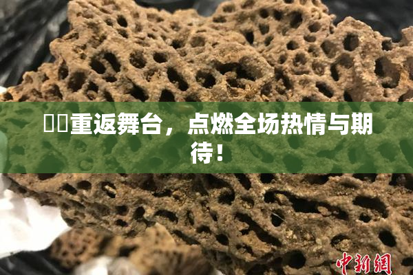 妺妺重返舞台，点燃全场热情与期待！