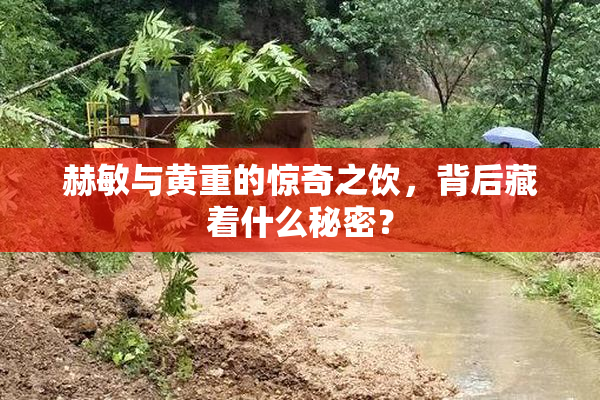 赫敏与黄重的惊奇之饮，背后藏着什么秘密？