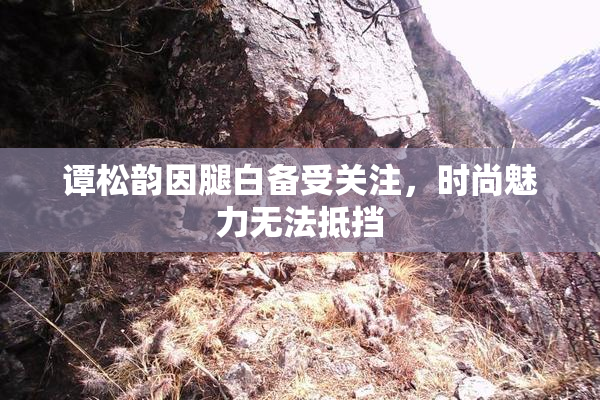谭松韵因腿白备受关注，时尚魅力无法抵挡