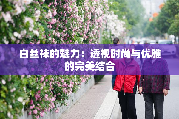 白丝袜的魅力：透视时尚与优雅的完美结合