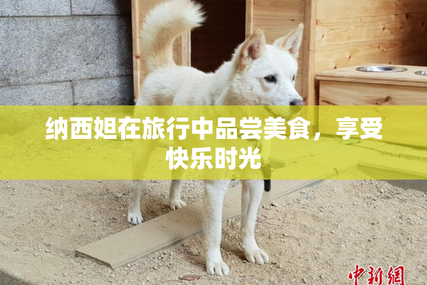 纳西妲在旅行中品尝美食，享受快乐时光