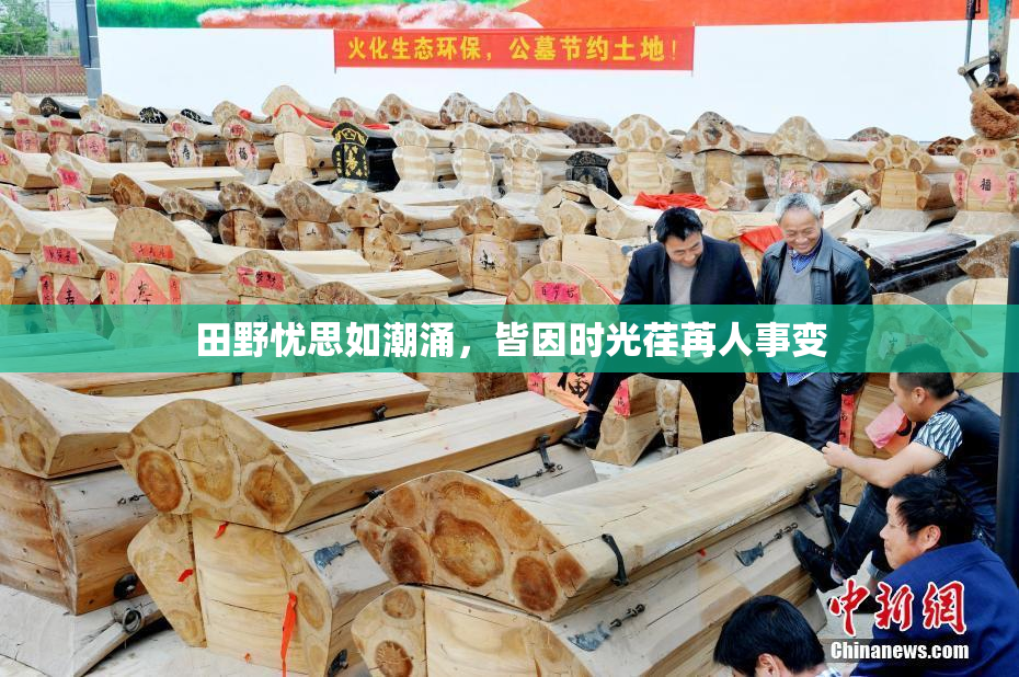 田野忧思如潮涌，皆因时光荏苒人事变