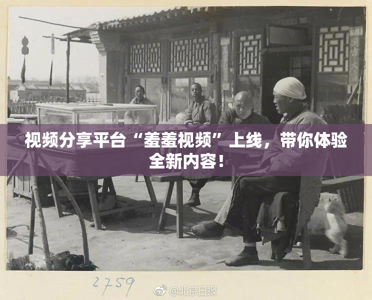 视频分享平台“羞羞视频”上线，带你体验全新内容！