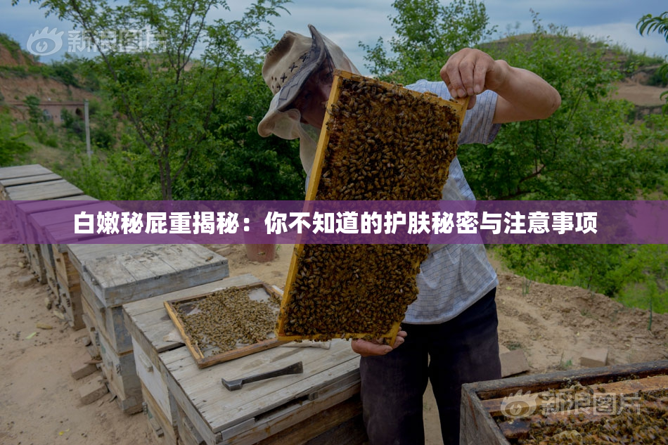 白嫩秘屁重揭秘：你不知道的护肤秘密与注意事项