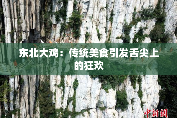 东北大鸡：传统美食引发舌尖上的狂欢