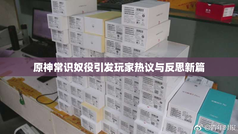 原神常识奴役引发玩家热议与反思新篇