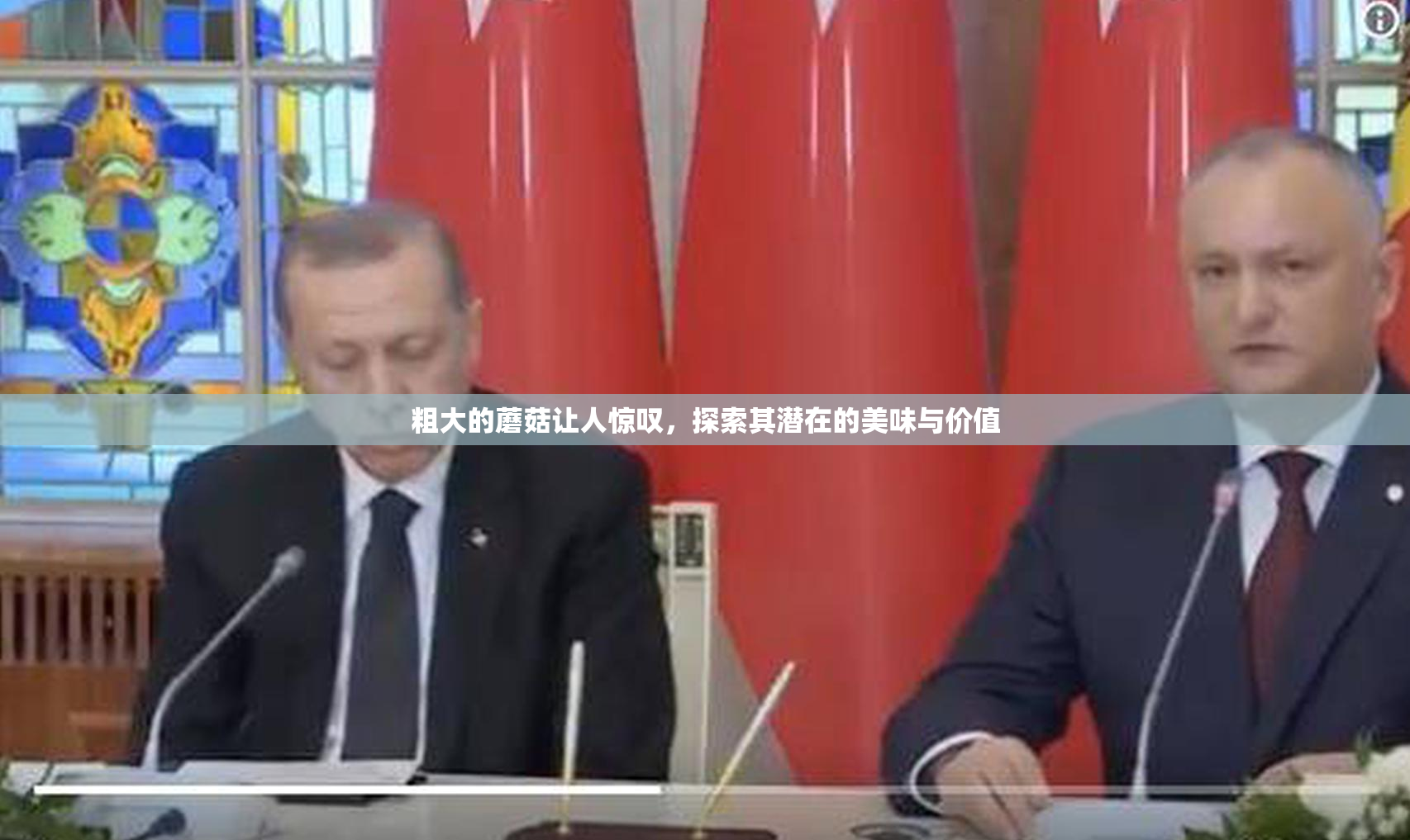 粗大的蘑菇让人惊叹，探索其潜在的美味与价值
