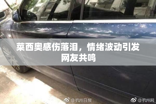 菜西奥感伤落泪，情绪波动引发网友共鸣