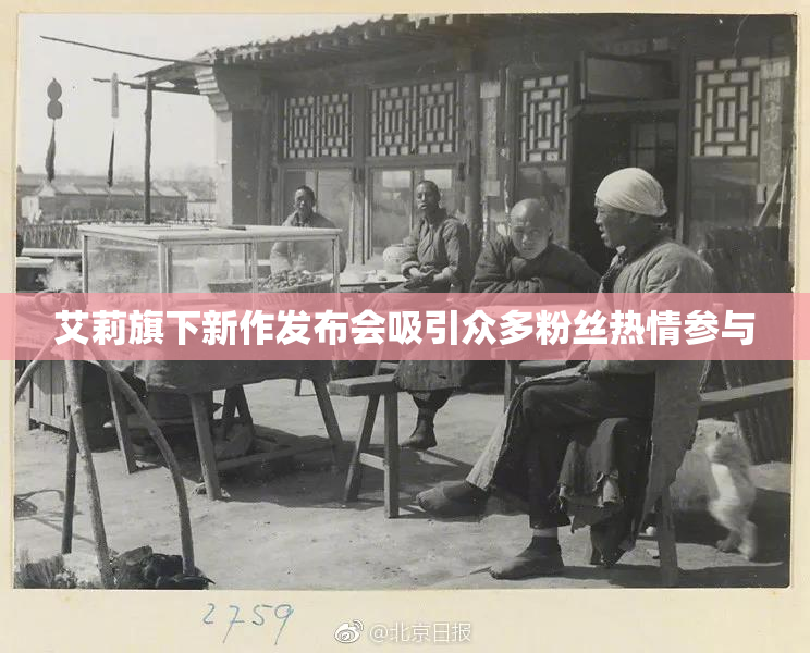 艾莉旗下新作发布会吸引众多粉丝热情参与
