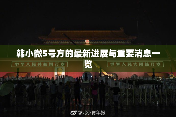 韩小微5号方的最新进展与重要消息一览