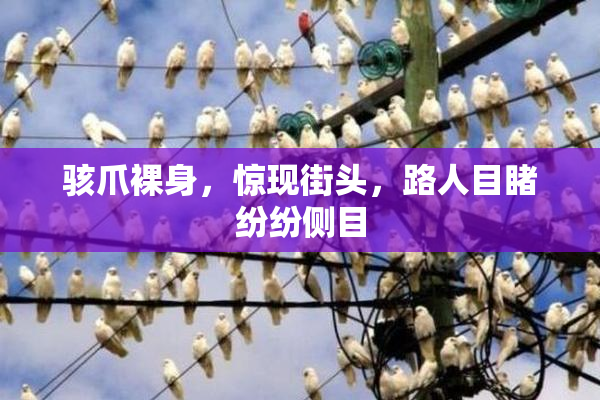 骇爪裸身，惊现街头，路人目睹纷纷侧目