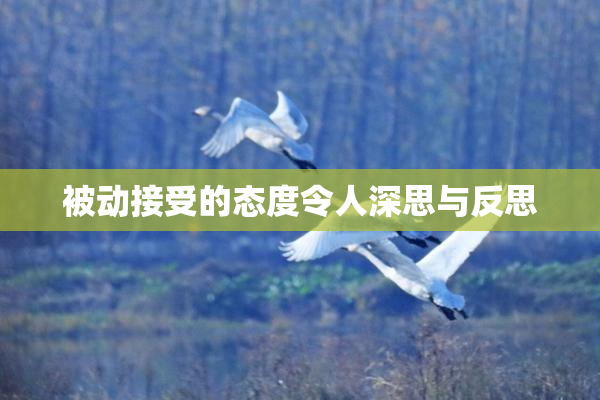被动接受的态度令人深思与反思