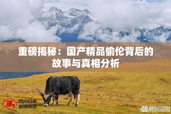 重磅揭秘：国产精品偷伦背后的故事与真相分析