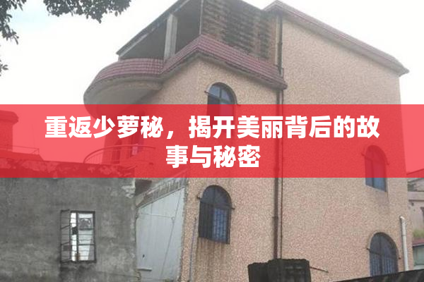 重返少萝秘，揭开美丽背后的故事与秘密