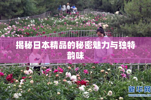 揭秘日本精品的秘密魅力与独特韵味