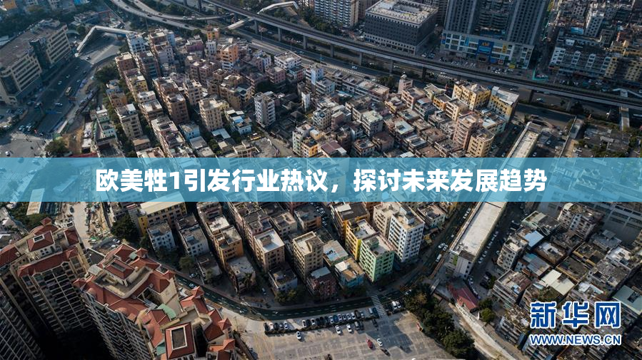 欧美牲1引发行业热议，探讨未来发展趋势