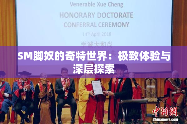 SM脚奴的奇特世界：极致体验与深层探索