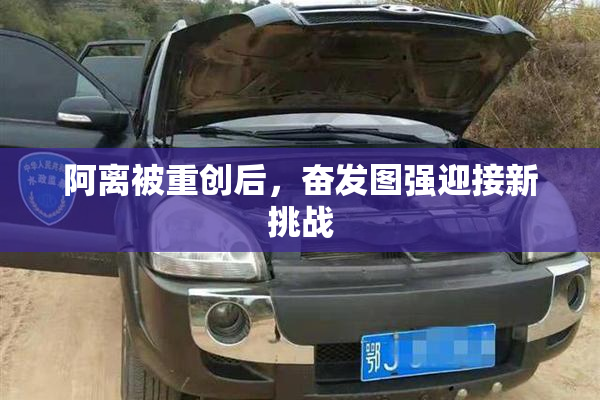 阿离被重创后，奋发图强迎接新挑战