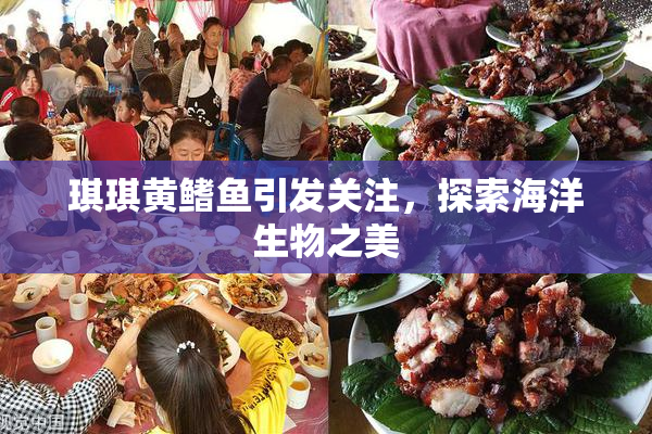 琪琪黄鳍鱼引发关注，探索海洋生物之美