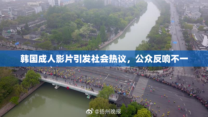 韩国成人影片引发社会热议，公众反响不一