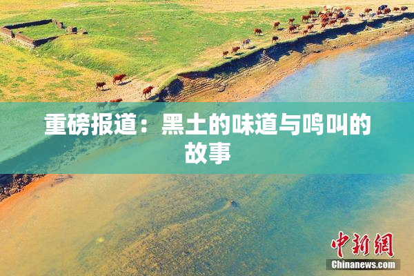 重磅报道：黑土的味道与鸣叫的故事